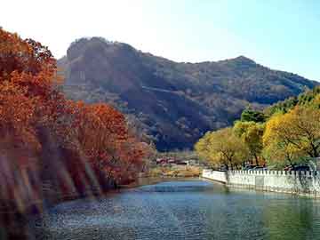 新澳天天开奖资料大全旅游团，岐山seo论坛